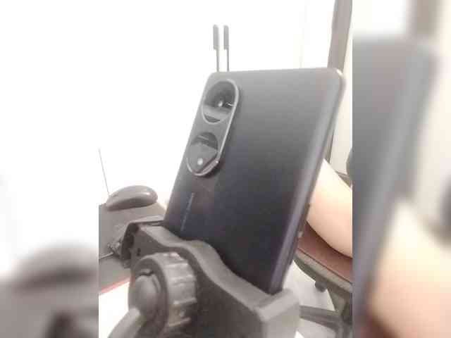 Bonita333 webcam