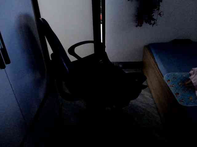 Bonita333 webcam