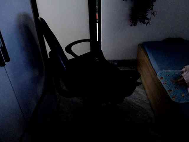 Bonita333 webcam