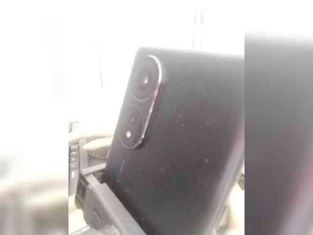 Bonita333 webcam