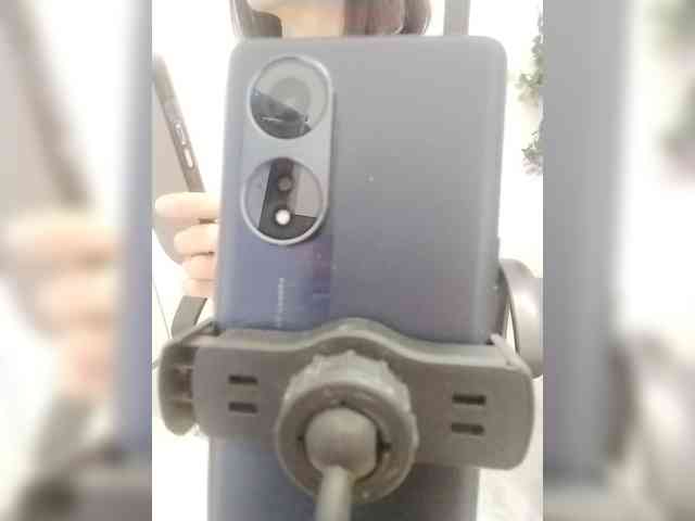 Bonita333 webcam