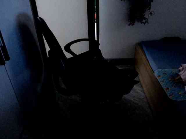 Bonita333 webcam