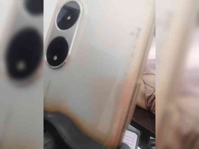 Bonita333 webcam