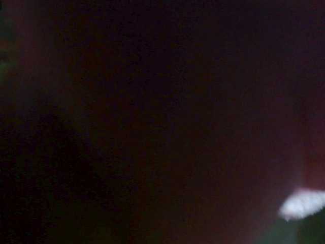honey21 live cam on BongaCams