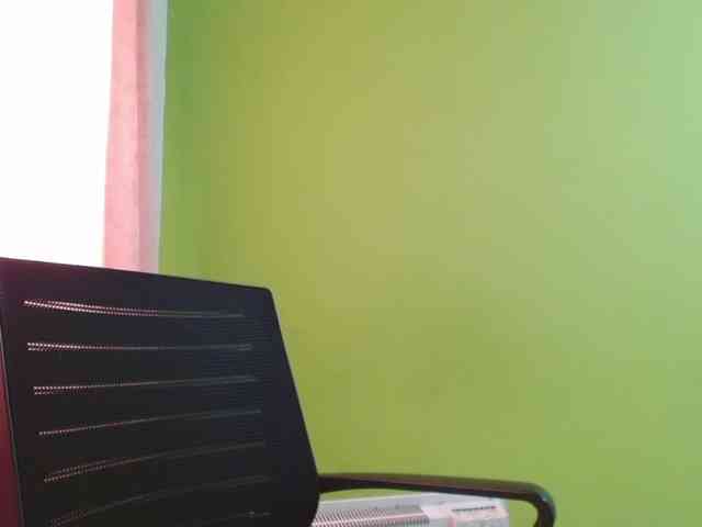 honey21 webcam