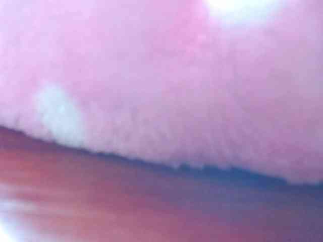 honey21 webcam
