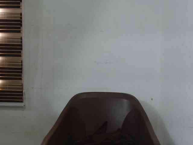 Live stream of Sweetncreamy