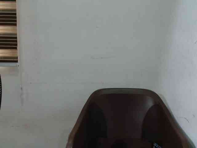 Sweetncreamy webcam