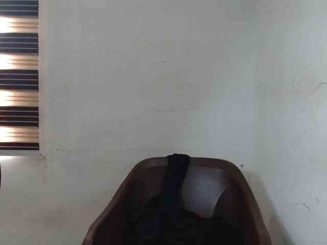 Sweetncreamy webcam