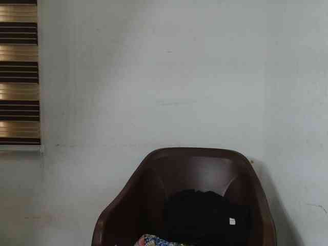 Sweetncreamy webcam