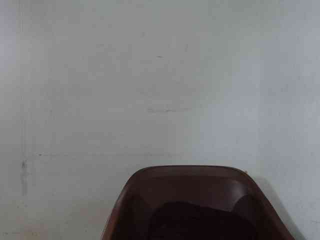 Sweetncreamy webcam