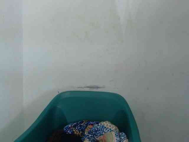 Sweetncreamy webcam