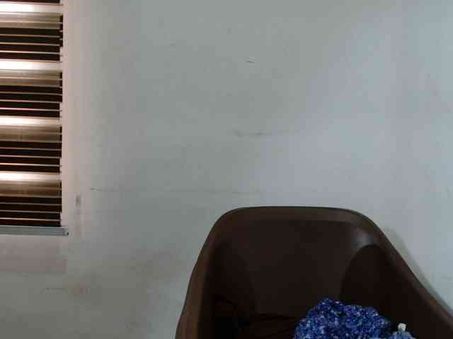 Sweetncreamy webcam