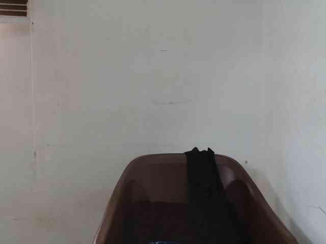 Sweetncreamy webcam
