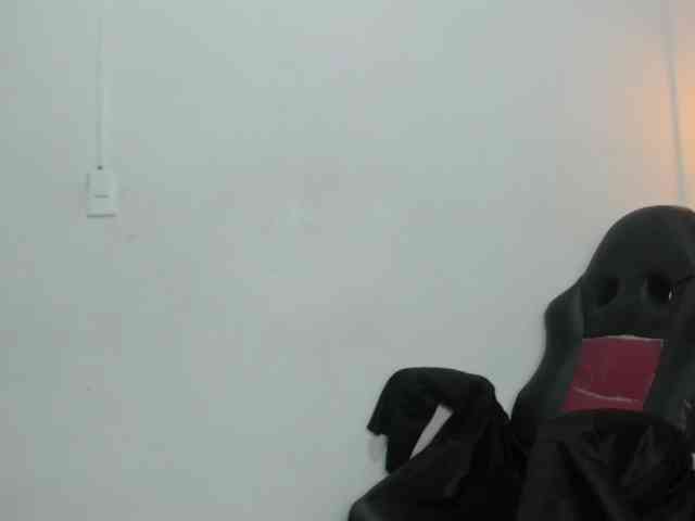 Nicol-Zurich webcam