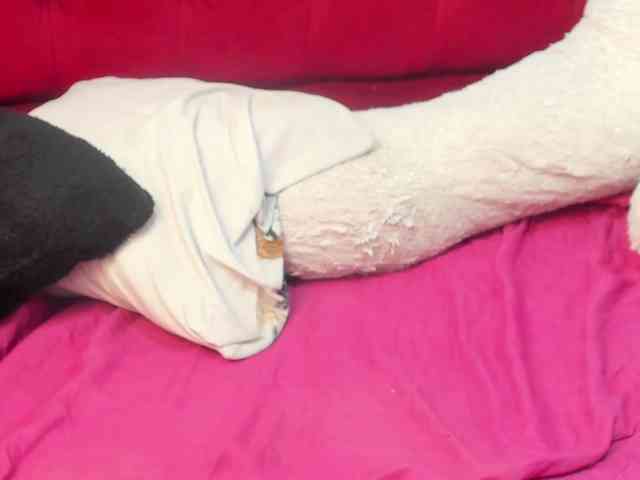 Nicol-Zurich webcam