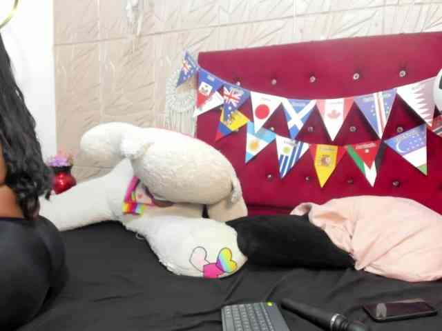 Nicol-Zurich webcam