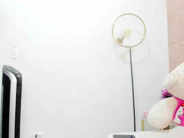 Nicol-Zurich webcam