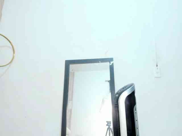 Nicol-Zurich webcam