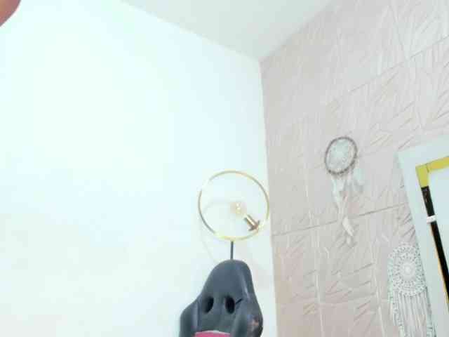 Nicol-Zurich webcam