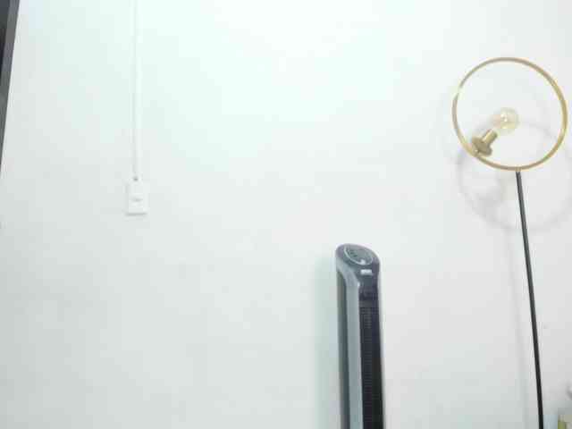 Nicol-Zurich webcam