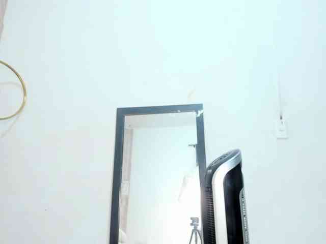 Nicol-Zurich webcam