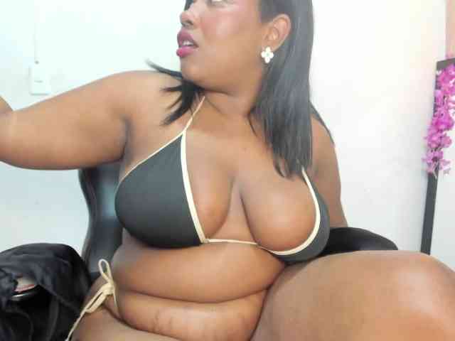 Nicol-Zurich webcam