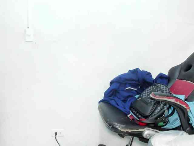 Nicol-Zurich webcam