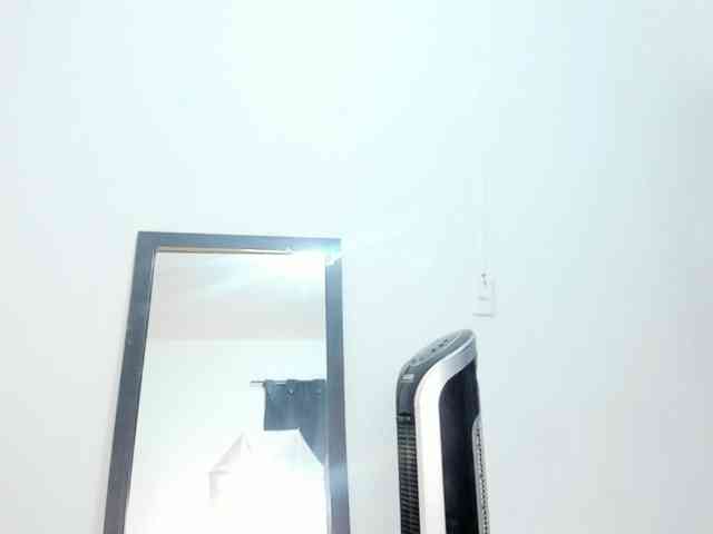 Nicol-Zurich webcam