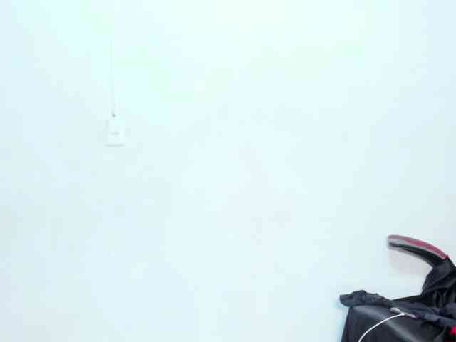Nicol-Zurich webcam
