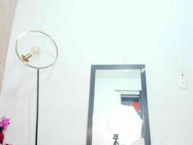 Nicol-Zurich webcam