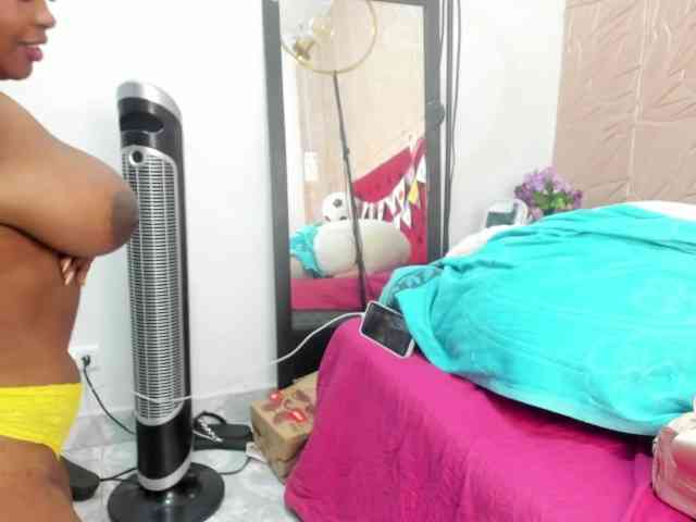 Nicol-Zurich webcam