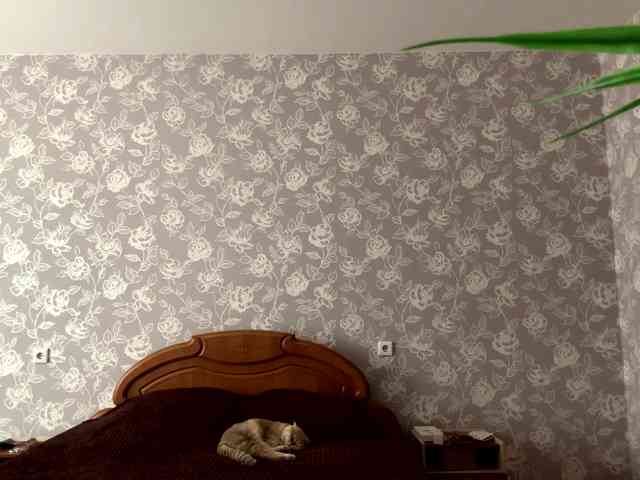 LaceyCockrell webcam