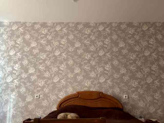 LaceyCockrell webcam