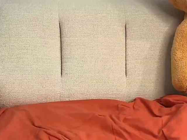 Melodise webcam