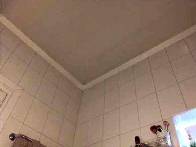 ThanhLabean webcam