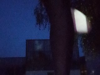 Mazalane Porn Show