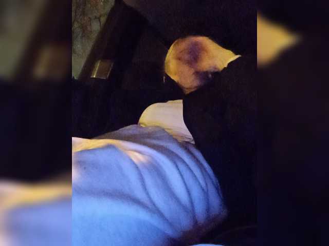 Mazalane