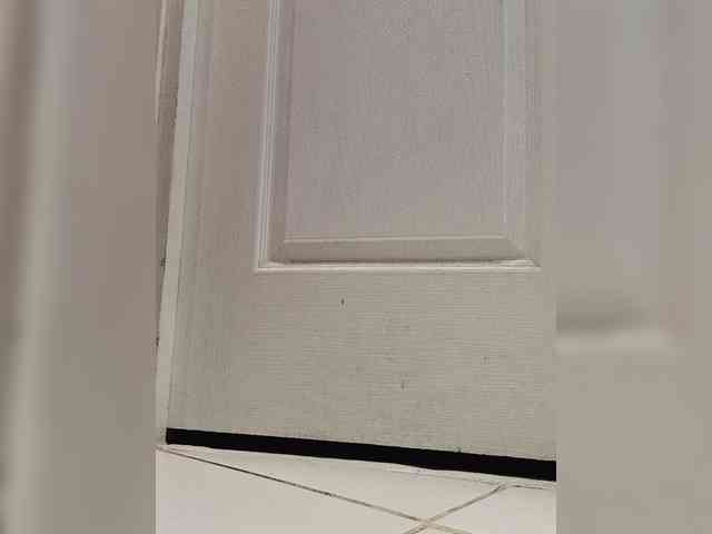 Mazalane webcam