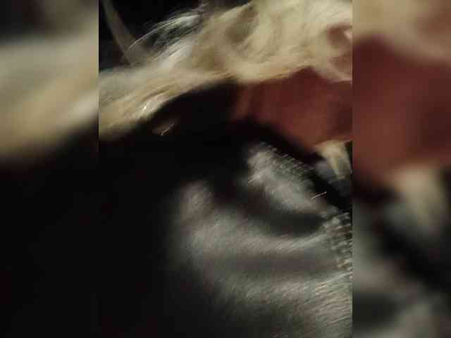 Mazalane webcam