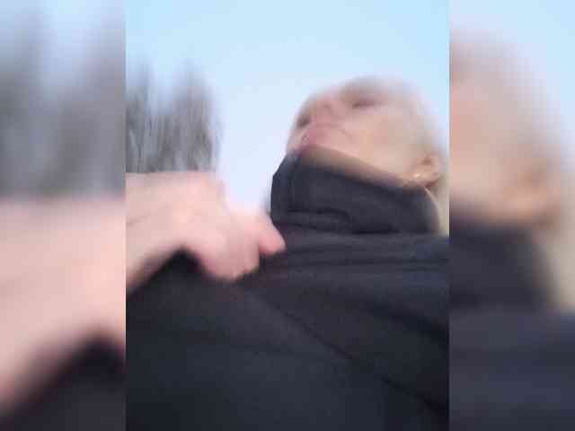 Mazalane