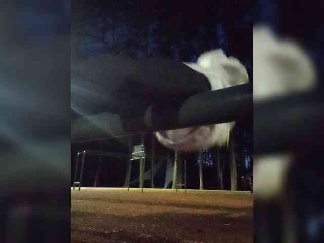 Mazalane webcam