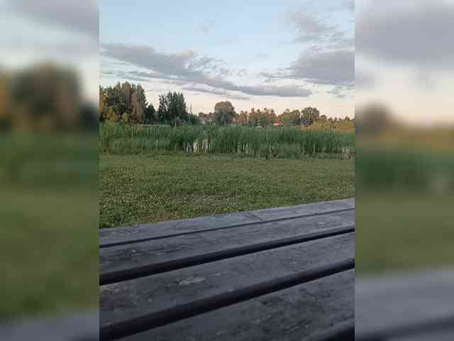 Mazalane