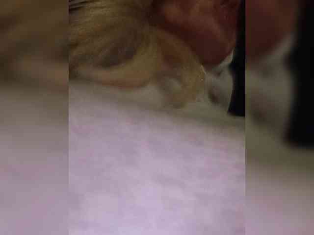 Mazalane webcam