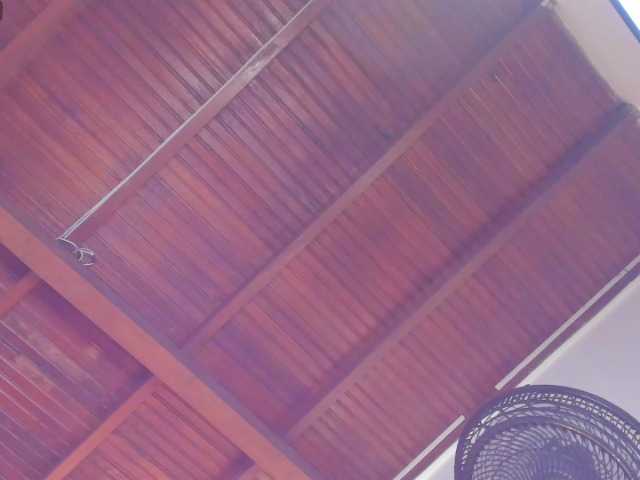 sophi-star live cam on BongaCams