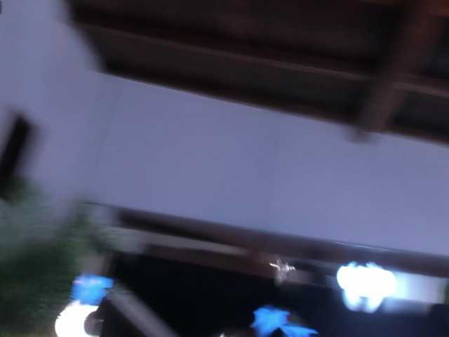 sophi-star