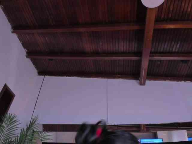 sophi-star webcam
