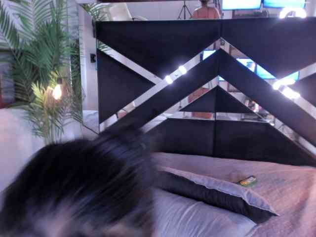 sophi-star webcam
