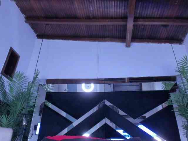sophi-star webcam