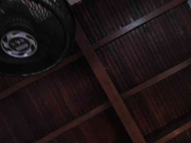 sophi-star webcam